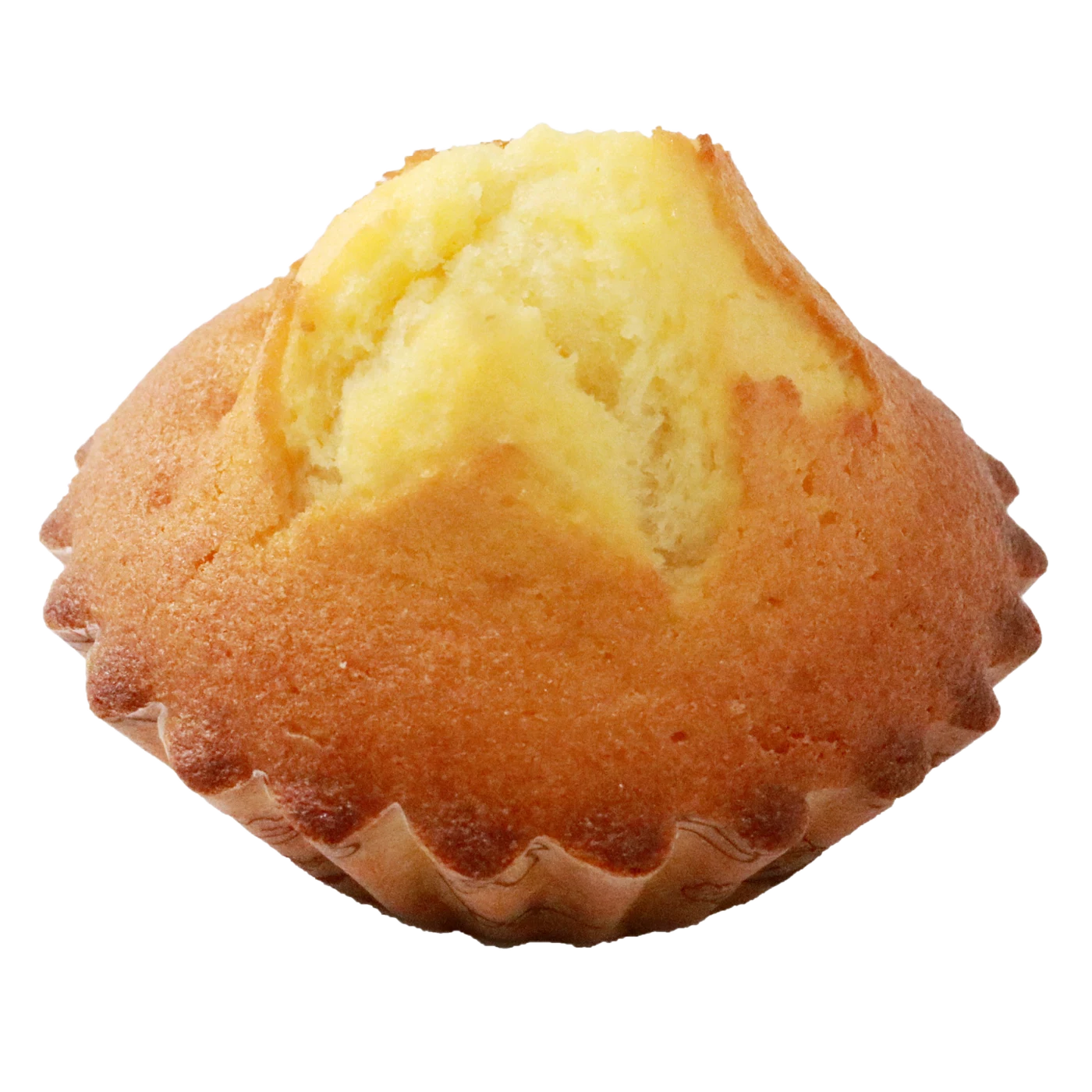 Honey madeleines